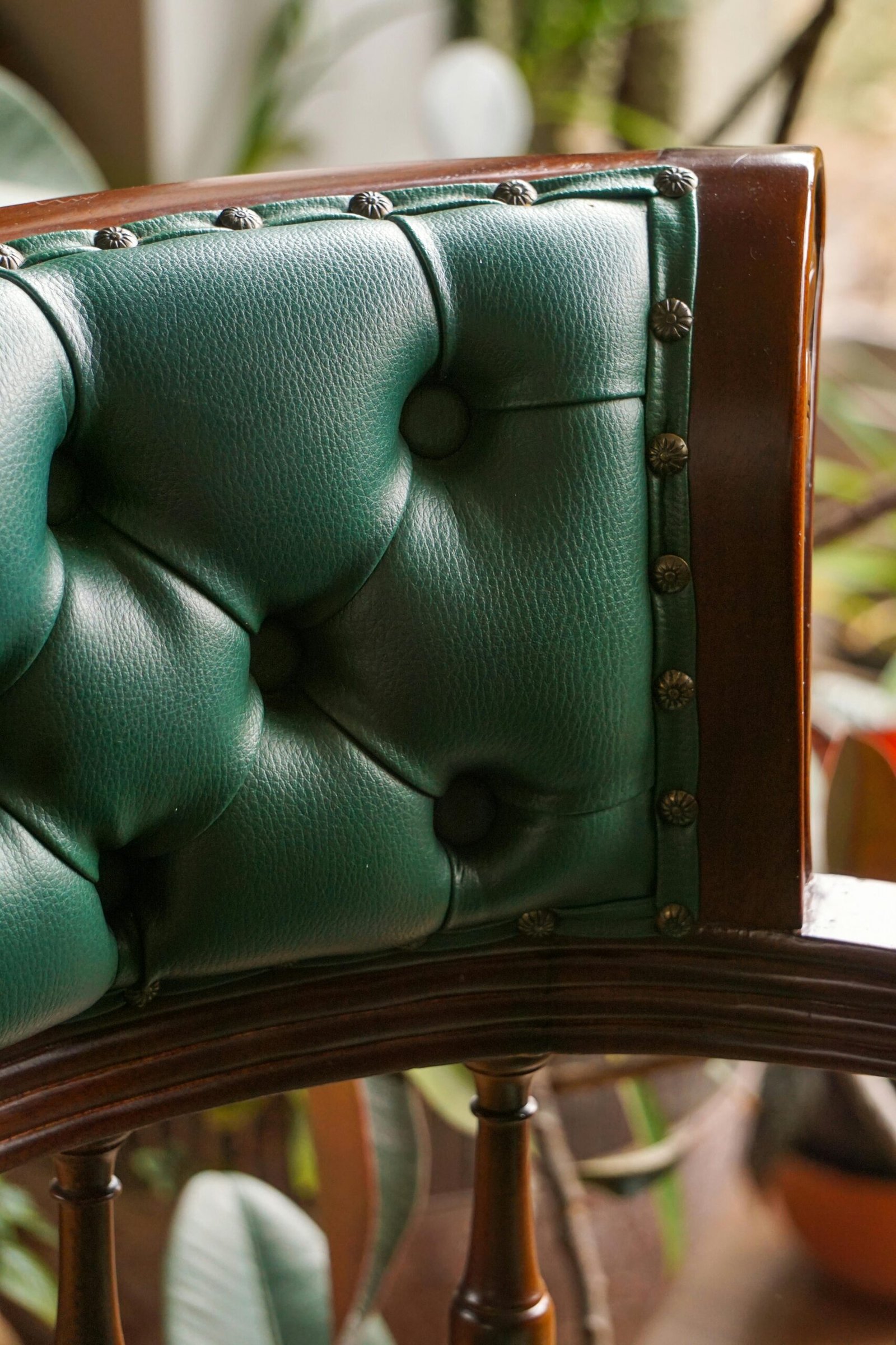 pexels-alice1-11868414